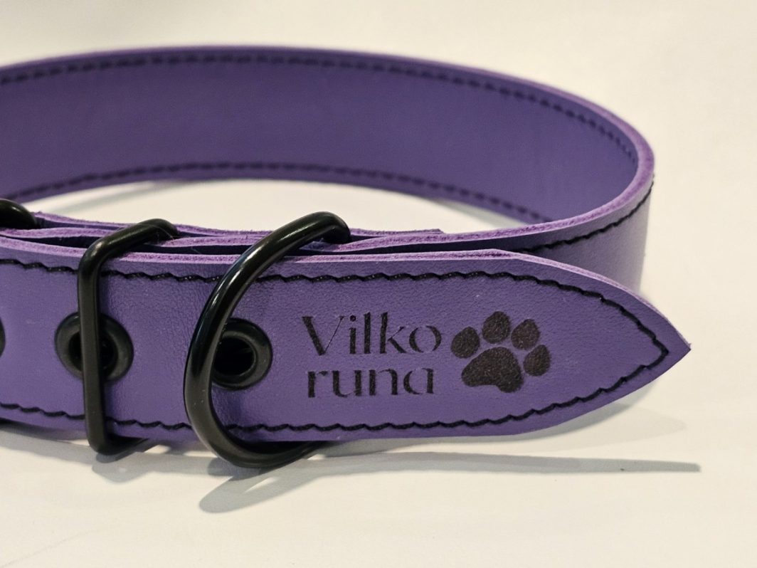 Antkaklios "Spalvos", violetinis - Image 3